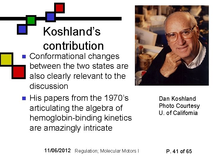 Koshland’s contribution n n Conformational changes between the two states are also clearly relevant
