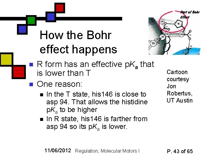 How the Bohr effect happens n n R form has an effective p. Ka