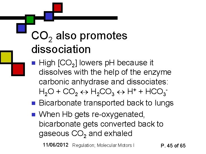 CO 2 also promotes dissociation n High [CO 2] lowers p. H because it
