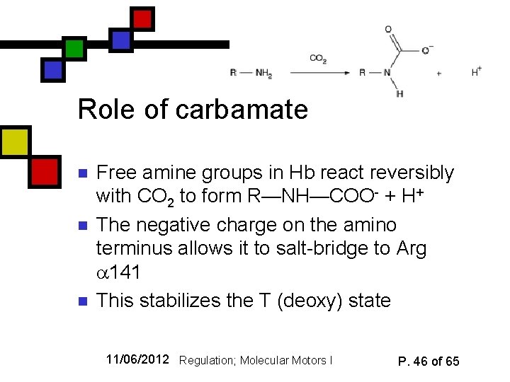 Role of carbamate n n n Free amine groups in Hb react reversibly with