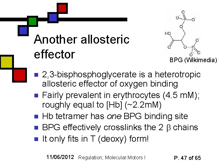 Another allosteric effector n n n BPG (Wikimedia) 2, 3 -bisphoglycerate is a heterotropic