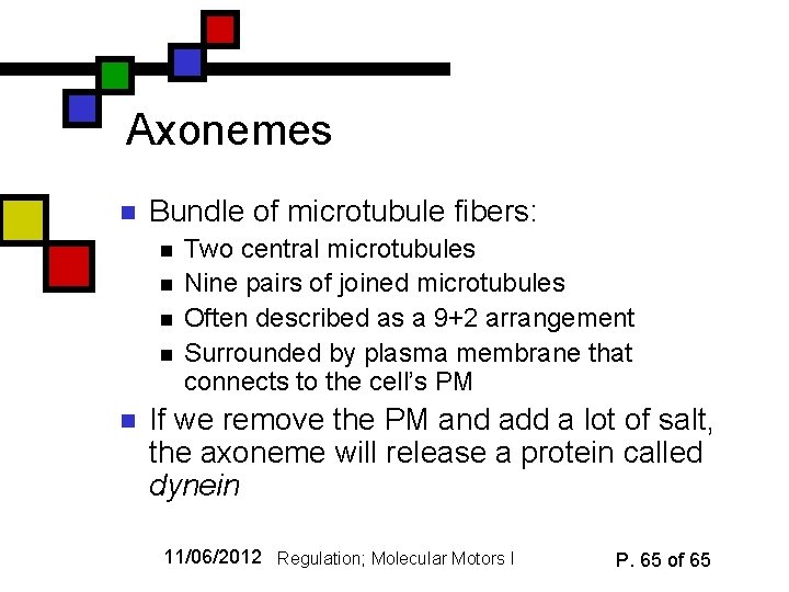 Axonemes n Bundle of microtubule fibers: n n n Two central microtubules Nine pairs