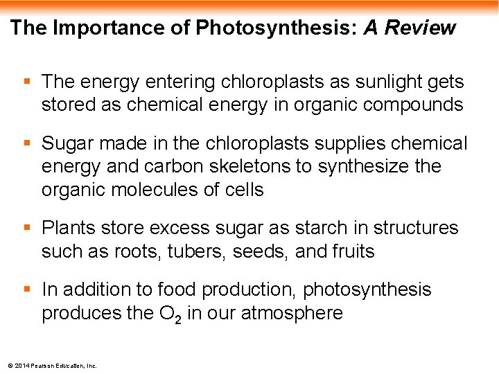 The Importance of Photosynthesis: A Review § The energy entering chloroplasts as sunlight gets