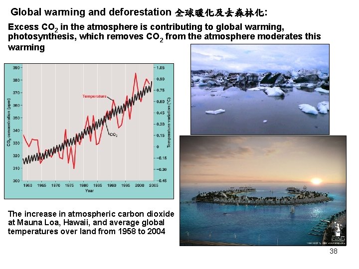 Global warming and deforestation 全球暖化及去森林化: Excess CO 2 in the atmosphere is contributing to