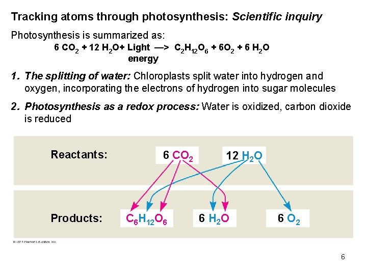 Tracking atoms through photosynthesis: Scientific inquiry Photosynthesis is summarized as: 6 CO 2 +