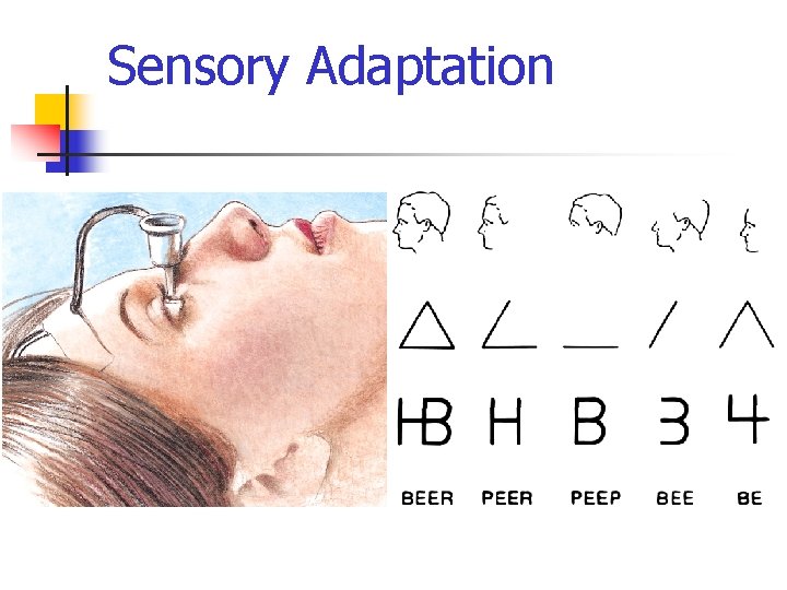 Sensory Adaptation 