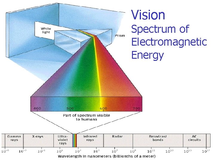 Vision Spectrum of Electromagnetic Energy 