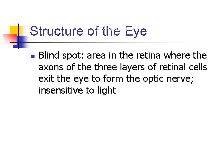 Structure of the Eye LO 3. 2 What Is Light? n Blind spot: area