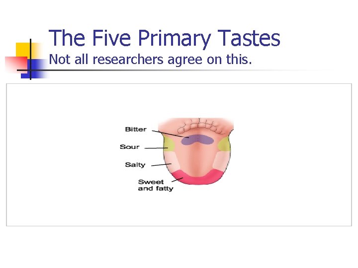 The Five Primary Tastes Not all researchers agree on this. 