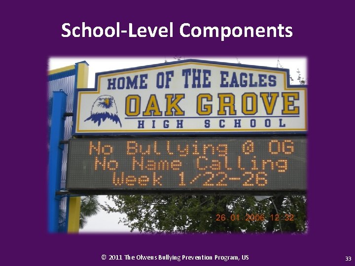 School-Level Components © 2011 The Olweus Bullying Prevention Program, US 33 