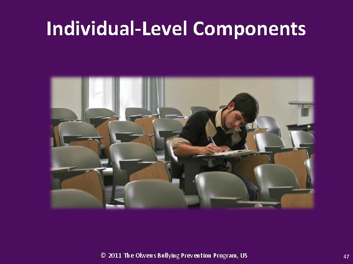 Individual-Level Components © 2011 The Olweus Bullying Prevention Program, US 47 