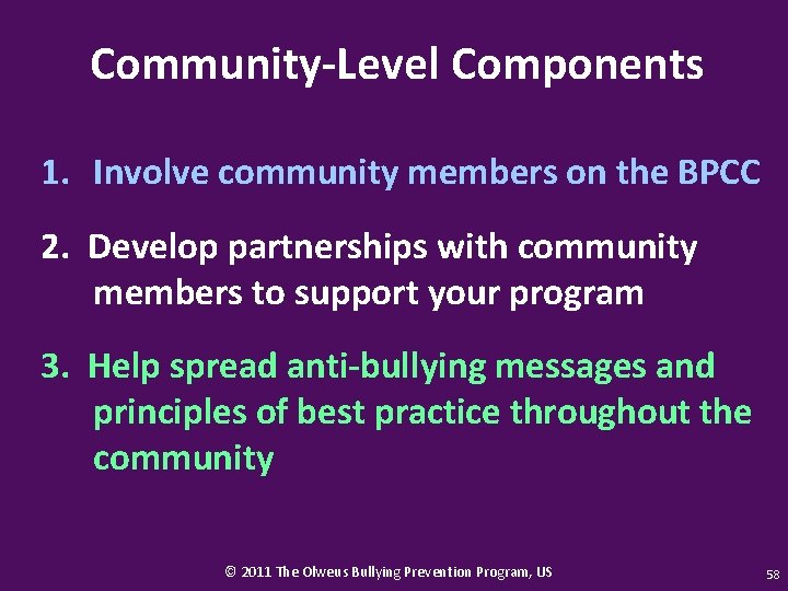 Community-Level Components 1. Involve community members on the BPCC 2. Develop partnerships with community