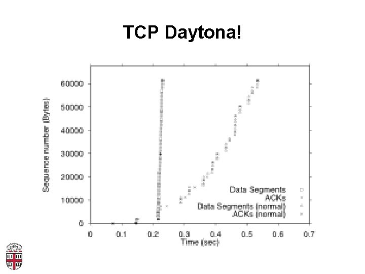 TCP Daytona! 