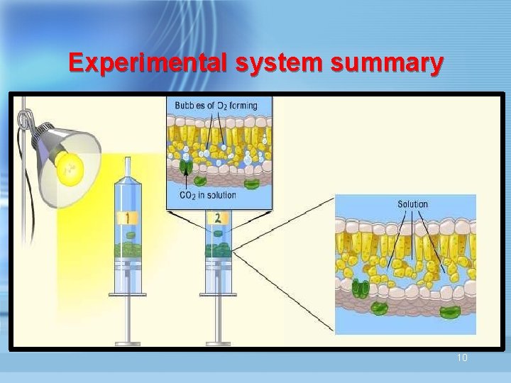 Experimental system summary 10 