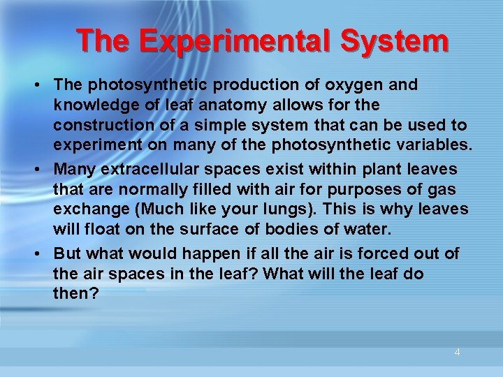 The Experimental System • The photosynthetic production of oxygen and knowledge of leaf anatomy