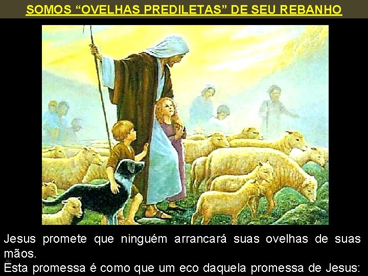 SOMOS “OVELHAS PREDILETAS” DE SEU REBANHO Jesus promete que ninguém arrancará suas ovelhas de
