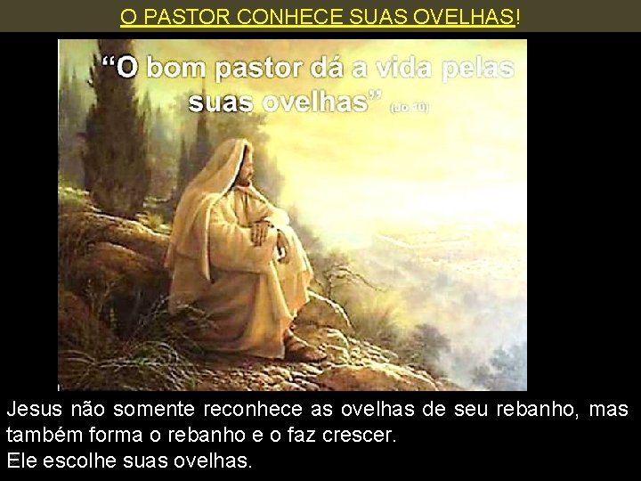 O PASTOR CONHECE SUAS OVELHAS! Jesus não somente reconhece as ovelhas de seu rebanho,