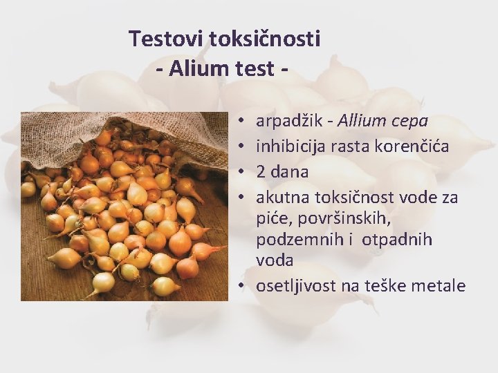 Testovi toksičnosti - Alium test arpadžik - Allium cepa inhibicija rasta korenčića 2 dana