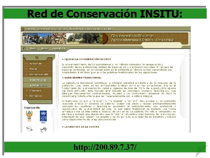 Red de Conservación INSITU: http: //200. 89. 7. 37/ 