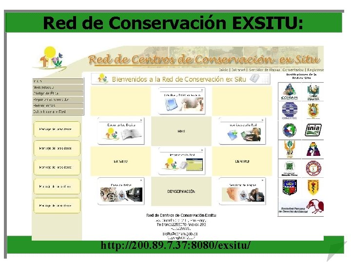 Red de Conservación EXSITU: http: //200. 89. 7. 37: 8080/exsitu/ 