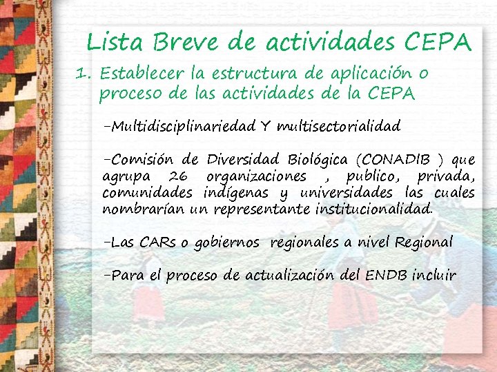 Lista Breve de actividades CEPA 1. Establecer la estructura de aplicación o proceso de