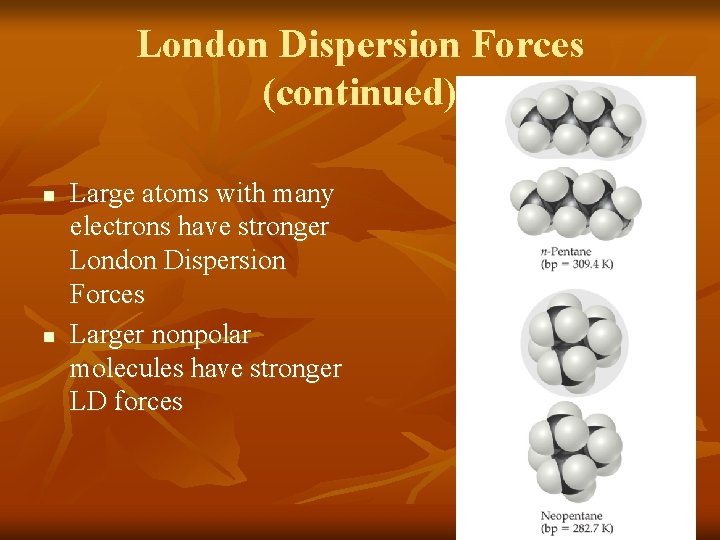 London Dispersion Forces (continued) n n Large atoms with many electrons have stronger London