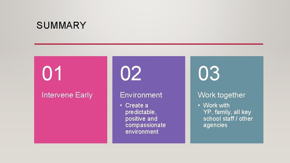 SUMMARY 01 02 03 Intervene Early Environment Work together • Create a predictable, positive