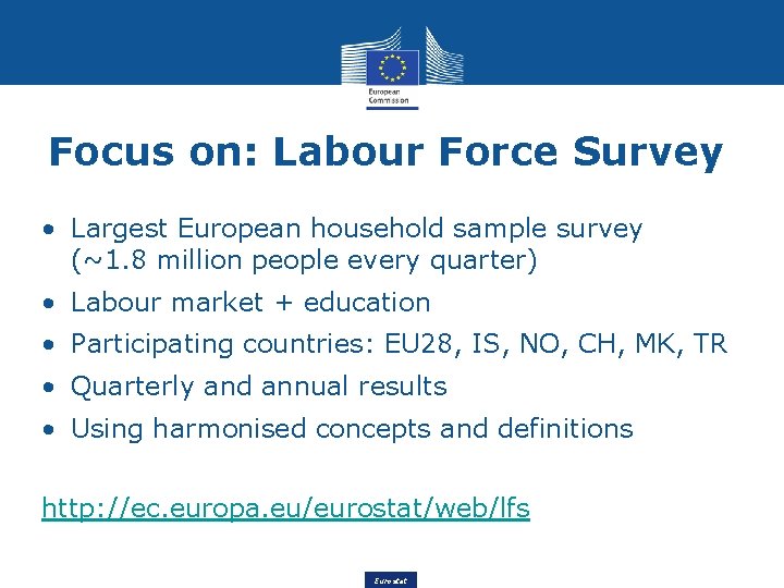 Focus on: Labour Force Survey • Largest European household sample survey (~1. 8 million