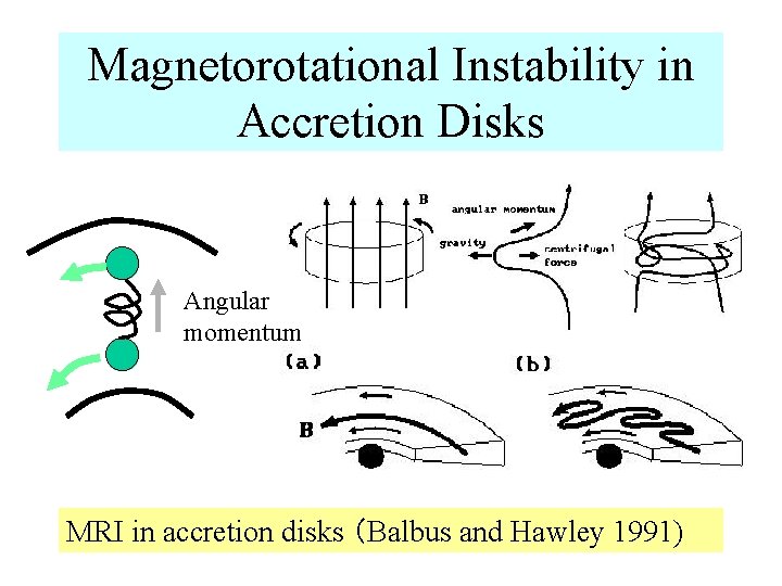 Magnetorotational Instability in Accretion Disks Angular momentum MRI in accretion disks （Balbus and Hawley