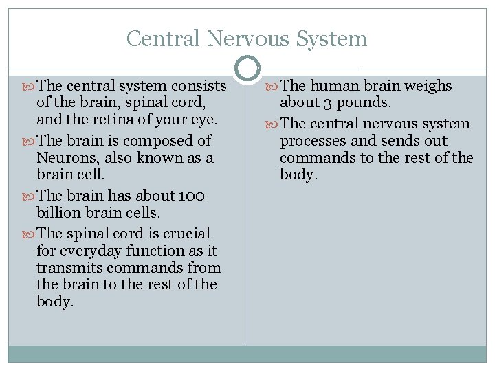 Central Nervous System The central system consists of the brain, spinal cord, and the