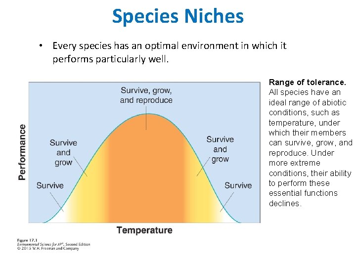 Species Niches • Every species has an optimal environment in which it performs particularly