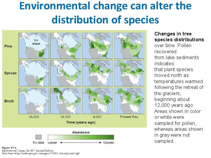 Environmental change can alter the distribution of species Changes in tree species distributions over