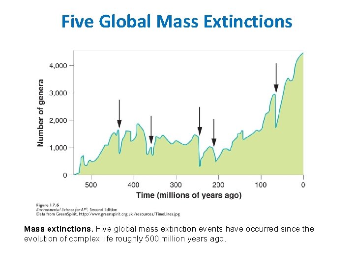 Five Global Mass Extinctions Mass extinctions. Five global mass extinction events have occurred since