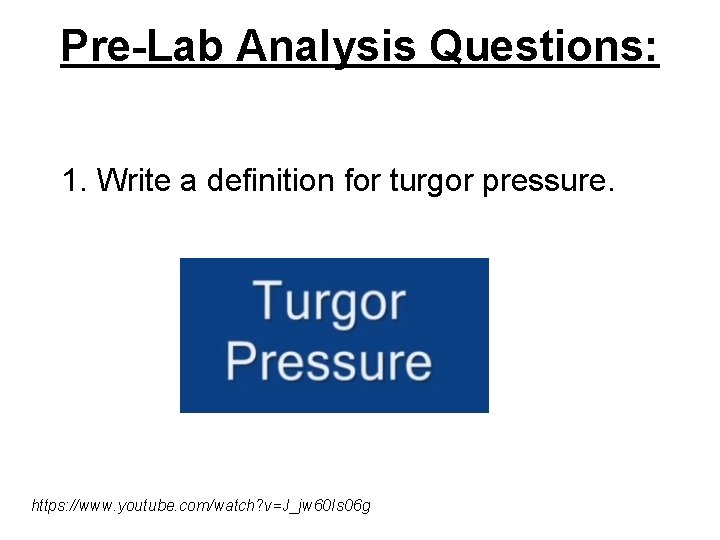 Pre-Lab Analysis Questions: 1. Write a definition for turgor pressure. https: //www. youtube. com/watch?