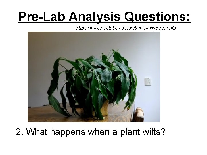 Pre-Lab Analysis Questions: https: //www. youtube. com/watch? v=f. Ny. Yu. Var. TIQ 2. What