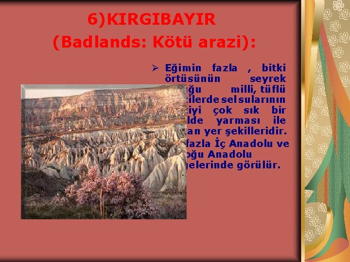 6)KIRGIBAYIR (Badlands: Kötü arazi): Ø Eğimin fazla , bitki örtüsünün seyrek olduğu milli, tüflü