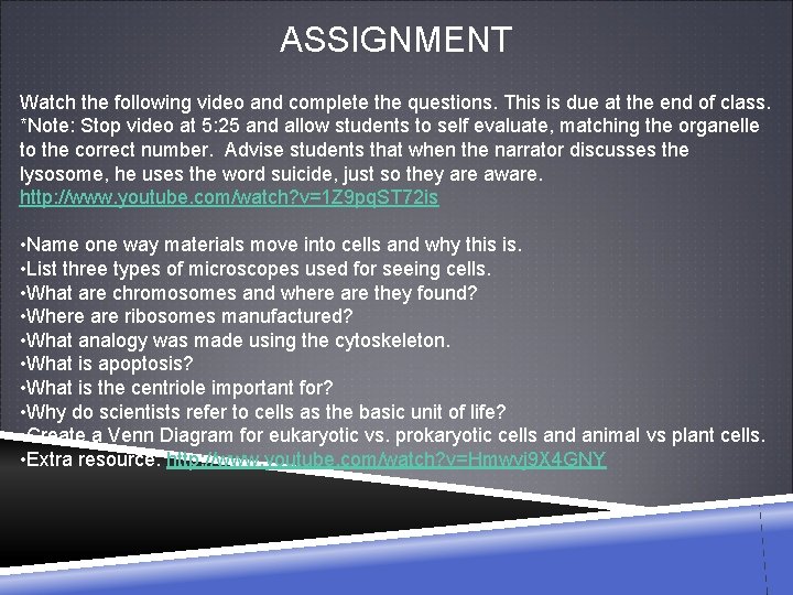 ASSIGNMENT Watch the following video and complete the questions. This is due at the