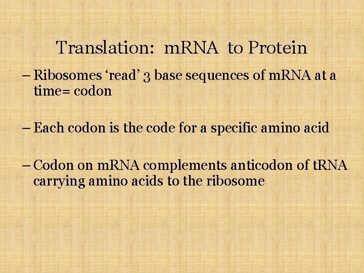 Translation: m. RNA to Protein – Ribosomes ‘read’ 3 base sequences of m. RNA
