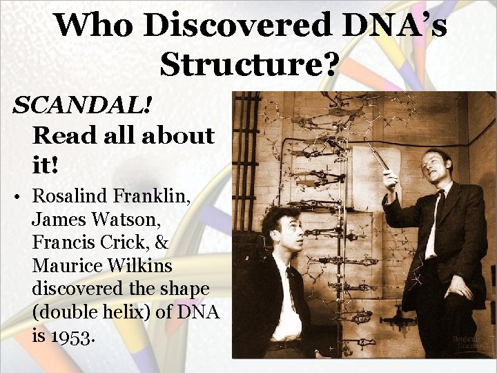 Who Discovered DNA’s Structure? SCANDAL! Read all about it! • Rosalind Franklin, James Watson,