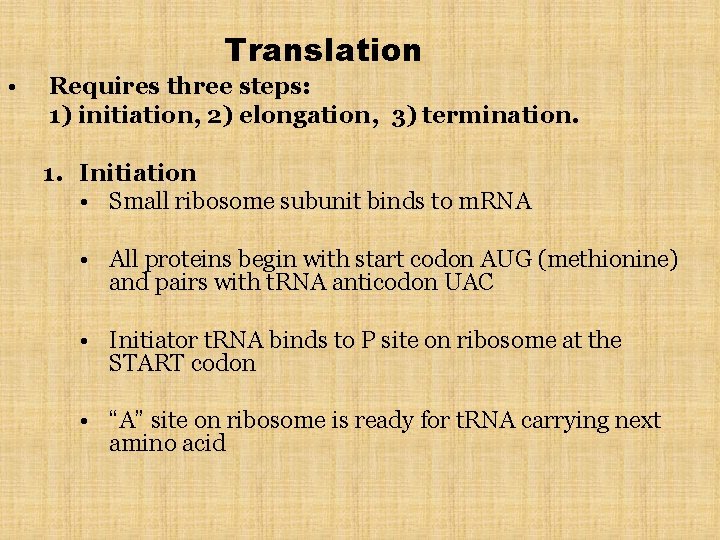 Translation • Requires three steps: 1) initiation, 2) elongation, 3) termination. 1. Initiation •