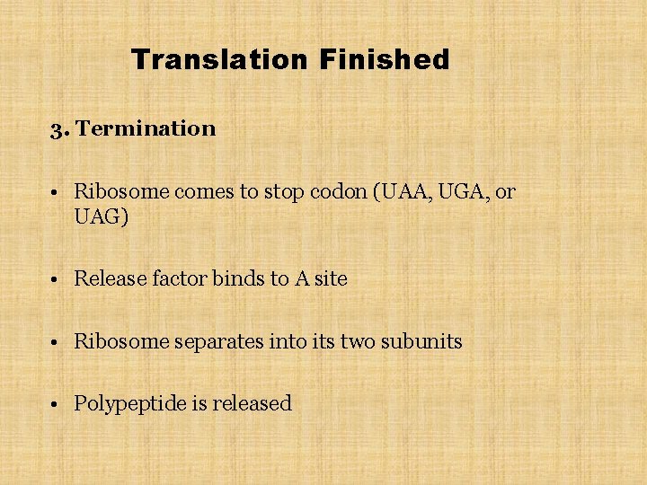 Translation Finished 3. Termination • Ribosome comes to stop codon (UAA, UGA, or UAG)