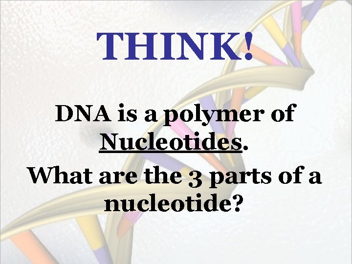 THINK! DNA is a polymer of Nucleotides. What are the 3 parts of a