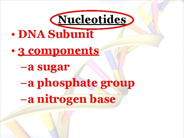 Nucleotides • DNA Subunit • 3 components –a sugar –a phosphate group –a nitrogen