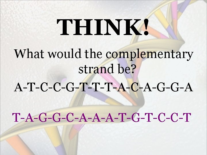 THINK! What would the complementary strand be? A-T-C-C-G-T-T-T-A-C-A-G-G-A T-A-G-G-C-A-A-A-T-G-T-C-C-T 