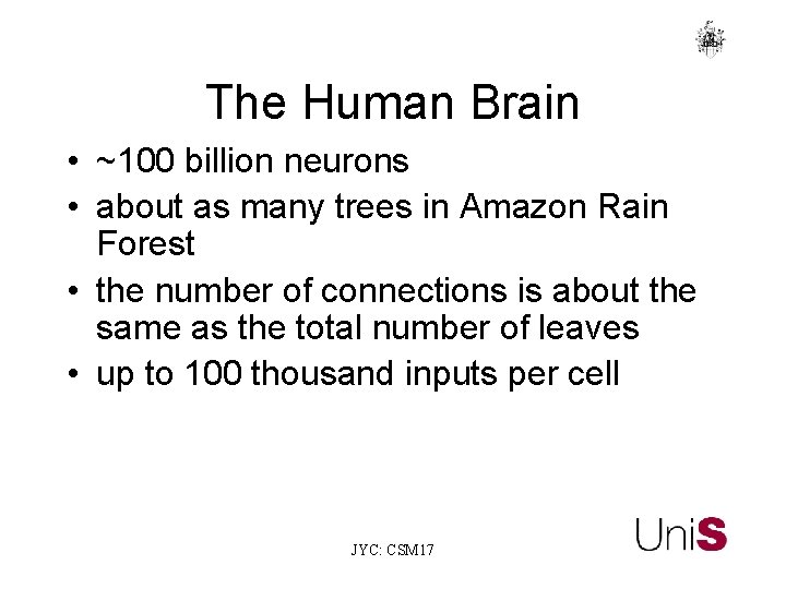 The Human Brain • ~100 billion neurons • about as many trees in Amazon