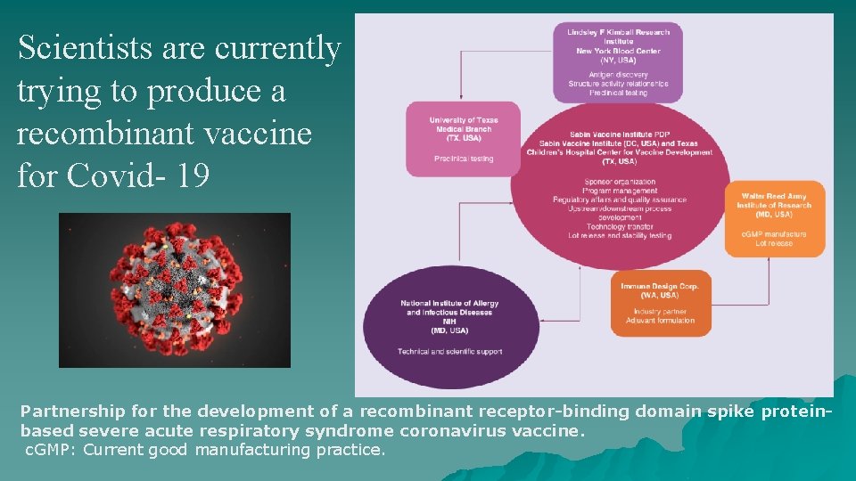 Scientists are currently trying to produce a recombinant vaccine for Covid- 19 Partnership for