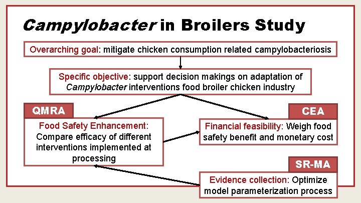 Campylobacter in Broilers Study Overarching goal: mitigate chicken consumption related campylobacteriosis Specific objective: support