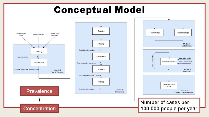 Conceptual Model Prevalence + Concentration Number of cases per 100, 000 people per year