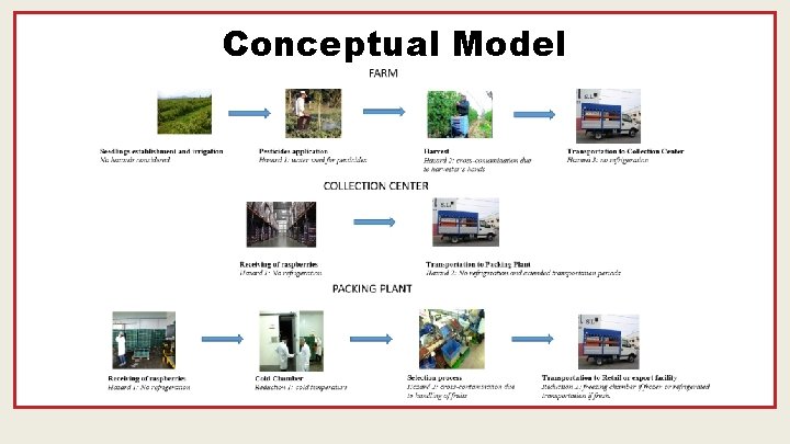 Conceptual Model 