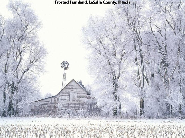 Frosted Farmland, La. Salle County, Illinois 